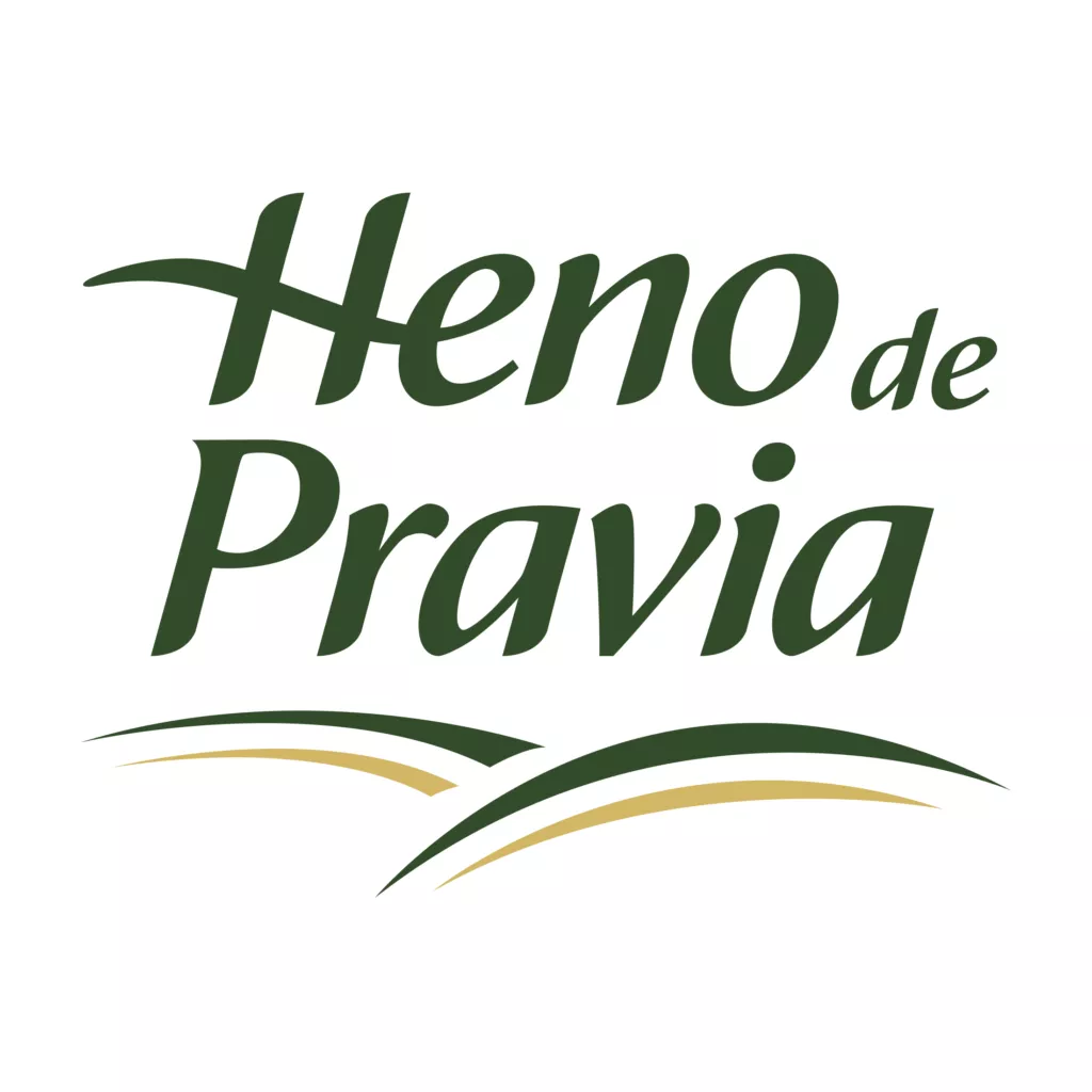 ab3fad16184f005281ea4cc91c1b2d09_HENO DE PRAVIA